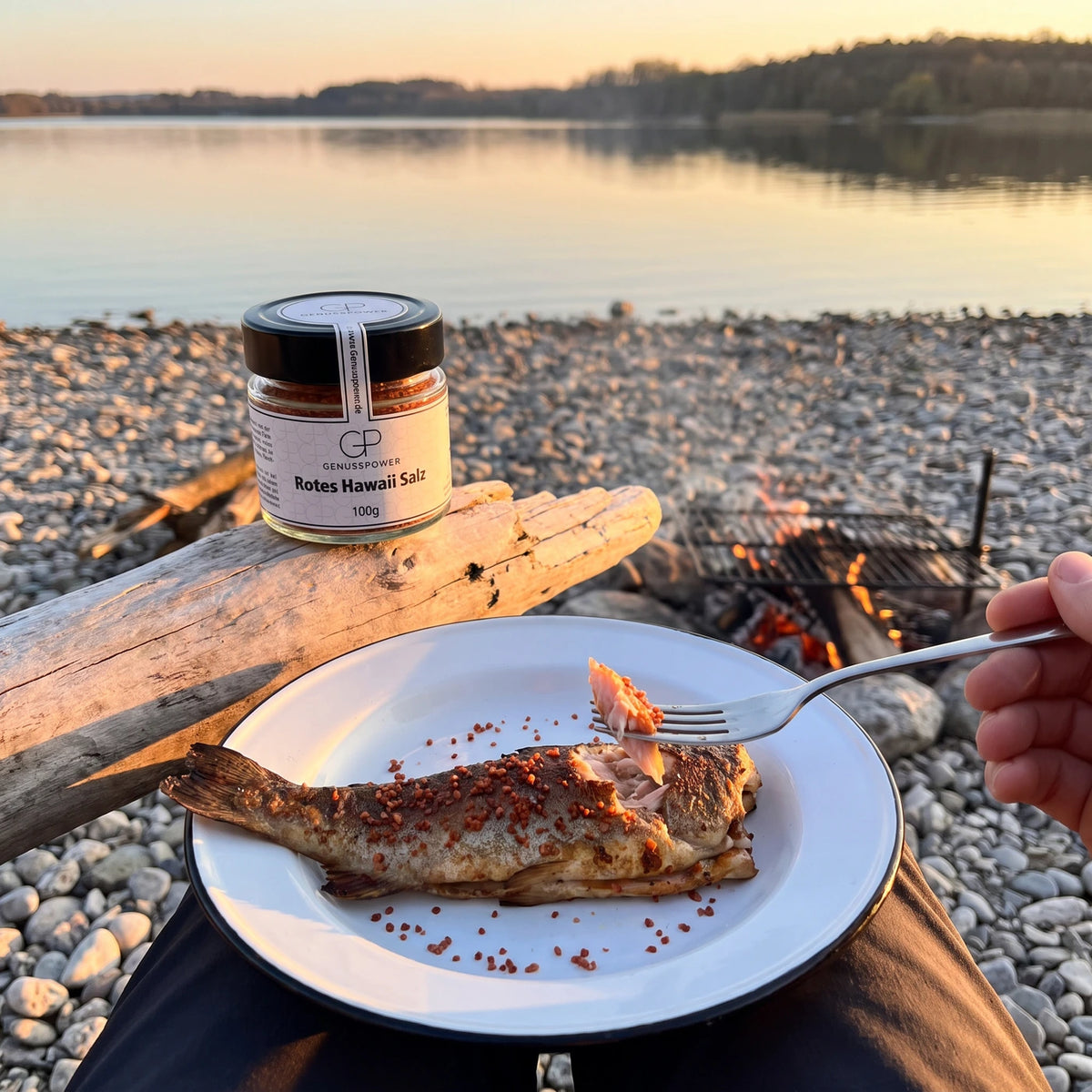 Emailleteller mit gegrillter Forelle und roten Salzkristallen, eine Gabel, das Glas weich im Hintergrund auf dem Treibholz