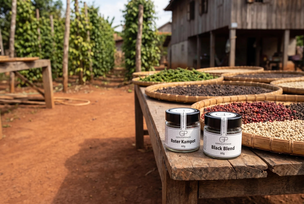 Zwei Gläser Pfeffer von Genusspower, Roter Kampot und Black Blend, auf einem Holztisch im Trockenhof einer Pfefferfarm in Kampot, dahinter Bambustabletts mit grünem, schwarzem, rotem und weißem Pfeffer